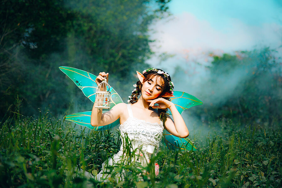 Fairytale Magical creatures, fairies, elves and goblins